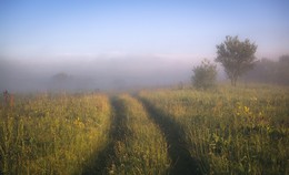 Sommermorgen. / ***