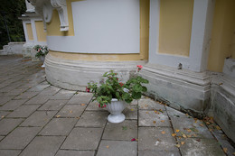 Neueste / ***