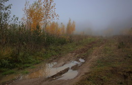 Herbst / ...