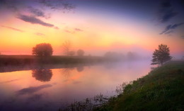 Nebligen Morgen / ***