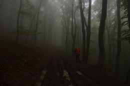 Übergeben im Nebel / ***