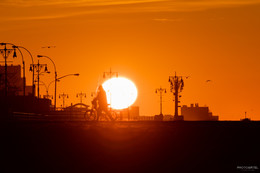 Early Morning / ***