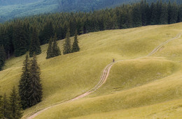 Wanderer / ***