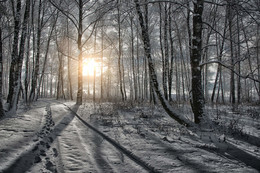 Vorbereitungen für den Winter / ***