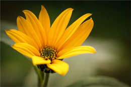sonnig / ***