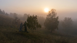 Herbstnebel / ***