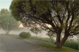 Am Fluss / ***