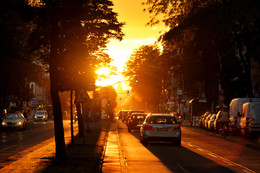Es werde Licht / ***