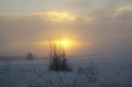 Es werde Licht / ***