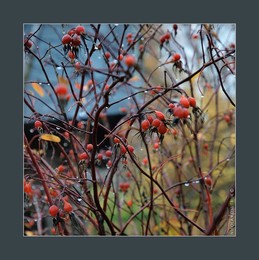  / music: Igor Gehenot Trio - Promenade
https://www.youtube.com/watch?v=mLWaaF1crQ4