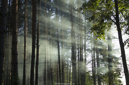 Es werde Licht! / ***