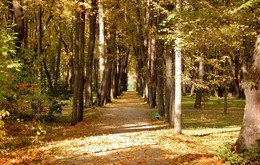 Herbstzeit / ***