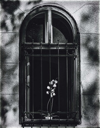 Window... / Budapest, summer 2017