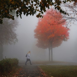 Herbst / ***