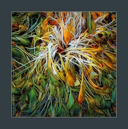 / music: Calexico - The Vanishing Mind
https://www.youtube.com/watch?v=9kPMvWsuKG8