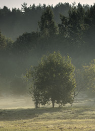 Herbstnebel / ***