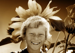 "Sunflower" / ***
