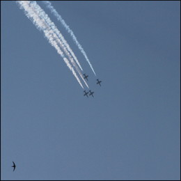 Flug / ***