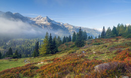Herbstwanderung / Herbstwanderung