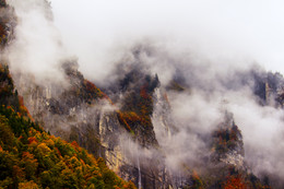 Herbst / ***