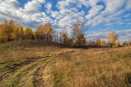 Goldener Herbst / ***