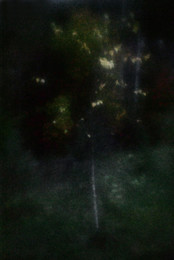 Oktober / ***