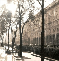 Square / ***
