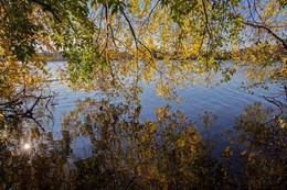 Reflexionen / ***
