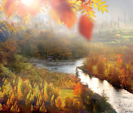 Autumn / Autumn