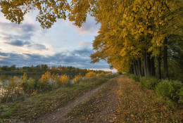 Herbst / ***