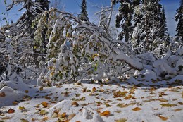 September Schnee / ***