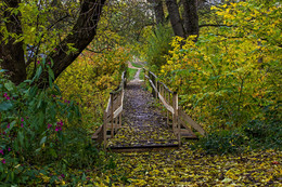 Brücke / ***