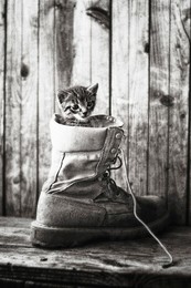 Verstecken spielen / ***