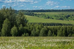 Einheimische Freiflächen / ***
