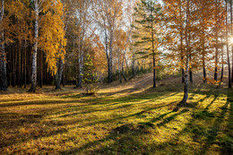 Herbst / ***