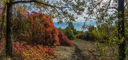 Einladung zur Herbst- / http://www.youtube.com/watch?v=LG-E4PVGQSI