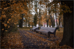 Herbstsonate / ***