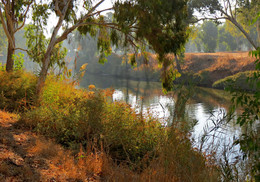 Herbst Morgendämmerung / ***