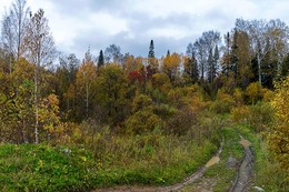 Herbstfarben / ***