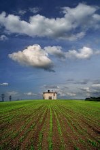 Frühlingslandschaft mit Jungpflanzen und die Struktur der unbekannten Zweck / ***