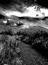 The LAST DAY OF THE EARTH / ***