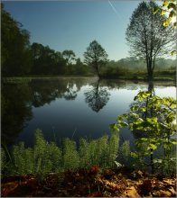 Eines Morgens ... / ***