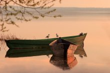 Honey Lake / ***