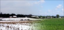 WinteSummer / ***