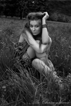 Vika 2 / ***