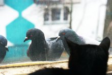 du sollst das dritte / ***
