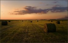 Abendlandschaft / -----