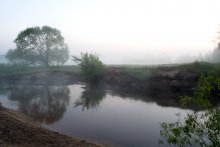 Misty Dawn / ***