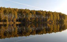 Spiegelung / ***