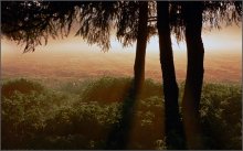 Misty Dawn / ***